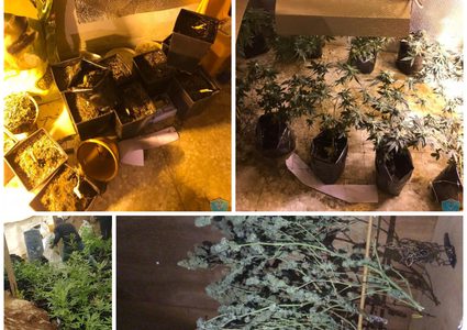 مصرع مواطن اثر حادث سير بالنقب