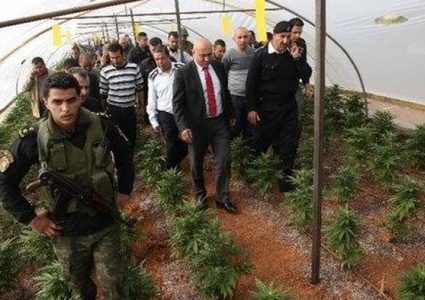 ضبط مشتل مخدرات في برية بيت لحم