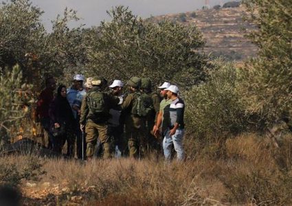 الاحتلال يعتدي بالضرب على مسن شمال الخليل