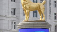 دولة تكرم كلباً بتمثال ذهبي