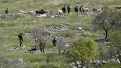 مستوطنون يهاجمون مزارعين شرق يطا