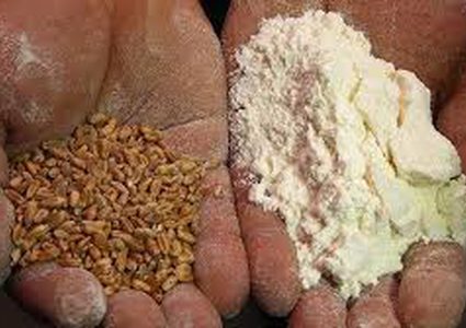 تجار سوريون: سوريا تطرح مناقصة محلية لاستيراد دقيق القمح