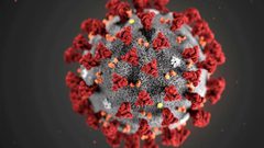 ما سر شراسة كورونا في الانتشار والعدوى؟