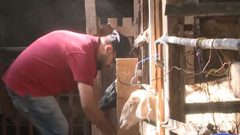 "مزرعة أغنام صغيرة" تذلل إعاقة شاب وتفتح له أبواب الأمل