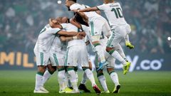 الجزائر تتأهل إلى نهائيات أمم أفريقيا 2022