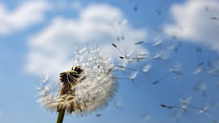 الطقس: أجواء غائمة جزئيًا ولا تغيير على درجات الحرارة