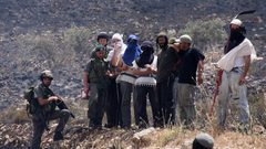 مستوطن يتسهار يحرثون أراضي المواطنين جنوب نابلس