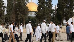 98 مستوطنا يقتحمون باحات المسجد الأقصى