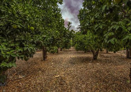 سحر الطبيعة في وادي قانا
عدسة : محمود معطان