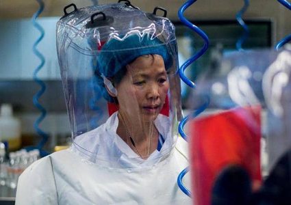 "المرأة الخفاش" تؤكد عدم صحة نظريات المؤامرة حول كورونا