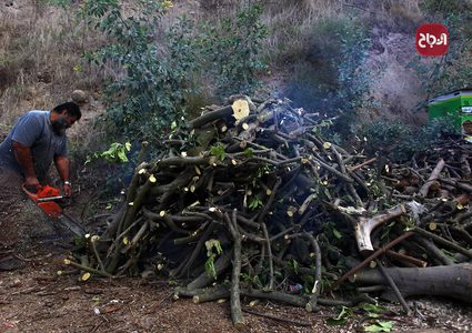 حطّاب يقطع الخشب ويجهزه للبيع في ورشته بقطاع غزة