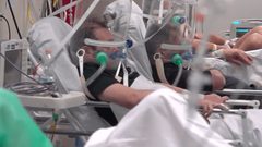 عالم أوبئة روسي يحذر من ظهور أمراض تهدد البشرية