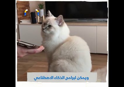 مياو توك تطبيق جديد لفهم ماذا تقول لك قطتك !