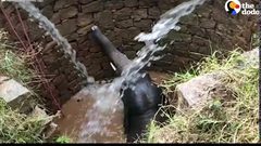 انقاذ فيل واخراجه من بئر عميق في الهند