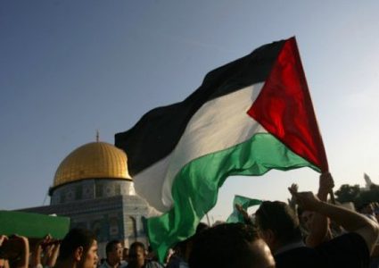 تنسيق العمل الأهلي يدعو للمشاركة في يوم التضامن الدولي مع فلسطين