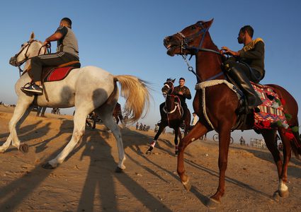 متسابقون يشاركون في سباق الهجن على أرض المطار الدولي بمدينة رفح