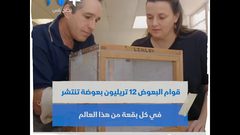 كيف غيرت البعوضة تاريخ البشرية؟