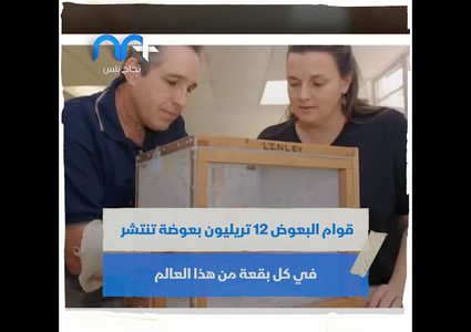 كيف غيرت البعوضة تاريخ البشرية؟