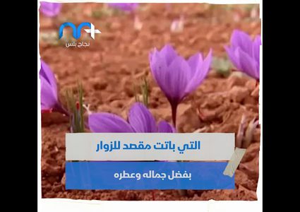 تعرف على النبات المعجزة!