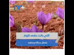 تعرف على النبات المعجزة!