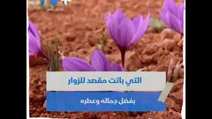 تعرف على النبات المعجزة!