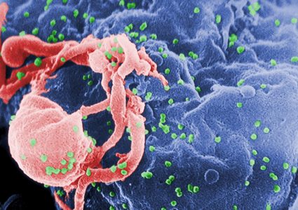 خبير: الجسم ينتج مناعة ما بين 5-7 أشهر بعد الإصابة بكورونا