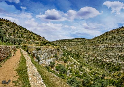 قرية بتير.. جمال يأسر القلوب ويروي عبق التاريخ