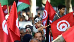 تونس تجدد موقفها الثابت في دعم القضية الفلسطينية