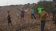 نابلس: مستوطنون يزرعون أشتال زيتون