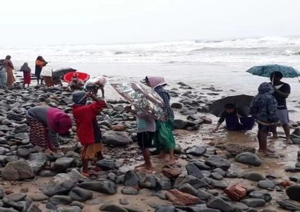 الهند.. البحر "يقذف" ذهبا على شواطئ أوبادا!