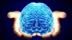 اكتشاف طريقة تكوين الدماغ للذاكرة الاستشعارية