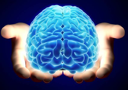 اكتشاف طريقة تكوين الدماغ للذاكرة الاستشعارية