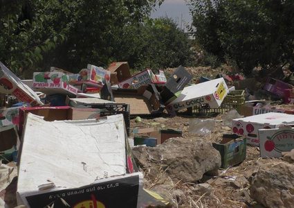 الخليل: الاحتلال يتلف كميات من الخضار للمزارعين