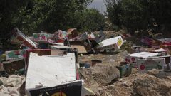 الخليل: الاحتلال يتلف كميات من الخضار للمزارعين