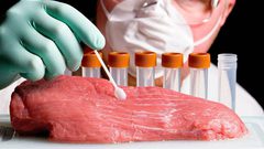 سنغافورة تبيع "لحوم مزروعة" بدلًا من ذبح الحيوانات