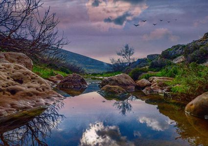 جمال الطبيعة في وادي اللصم بأريحا