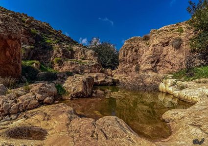 جمال الطبيعة في وادي اللصم بأريحا