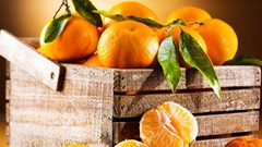 في الشتاء.. تعرفوا على فوائد تناول اليوسفي يوميا