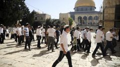 مستوطنون يقتحمون الأقصى بحماية قوات الاحتلال