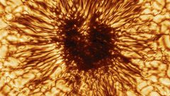 أكبر تلسكوب شمسي في العالم يشارك أول صورة له