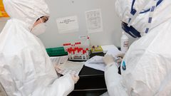 منظمة الصحة العالمية تسلم 19500 مادة فحص كورونا إلى غزة