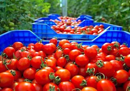 روسيا تحظر استيراد بعض الخضروات من أذربيجان