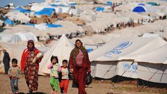 الأمم المتحدة: عدد النازحين داخليا في العالم تجاوز 80 مليونا