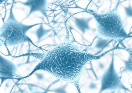 ما هو دور البكتيريا المغناطيسية في علاج الأورام ؟