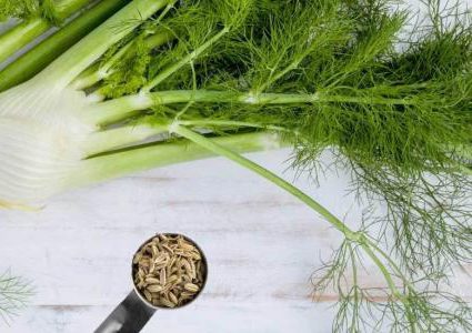 الشمر.. تعرفوا على الفوائد السحرية لهذا النبات الخجول