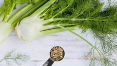 الشمر.. تعرفوا على الفوائد السحرية لهذا النبات الخجول