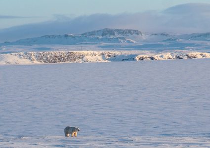 ارتفاع حرارة القطب الشمالي بوتائر قياسية