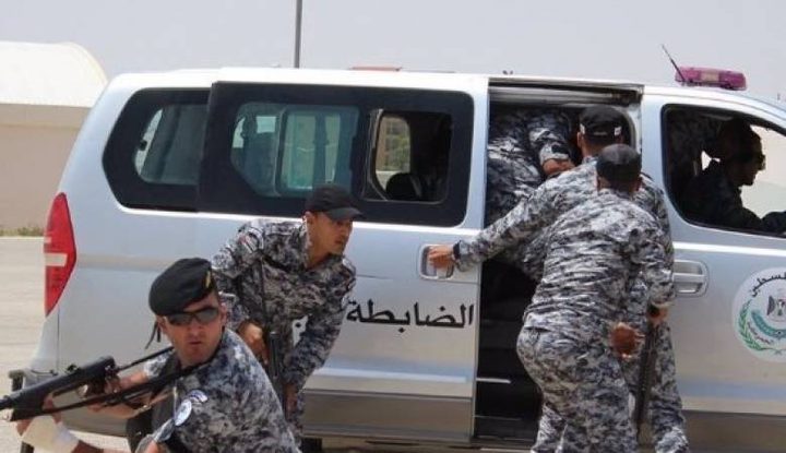 ضبط 15 ألف صوص حبش لاحم بالخليل قادمة من إسرائيل