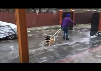 الجليد يشل العاصمة الأوكرانية