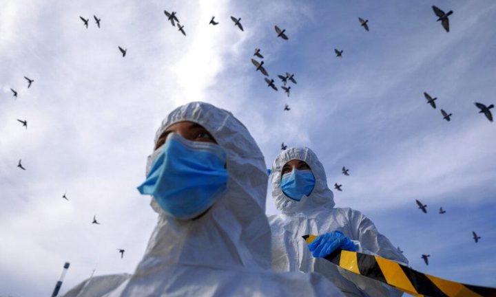 أم فحم: 22 مصابا في مستشفيات الناصرة و34 إصابة جديدة بـكورونا